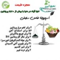 شرکت عقیق سبز