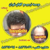 تخصصی ترین ترمیم مو در ایران